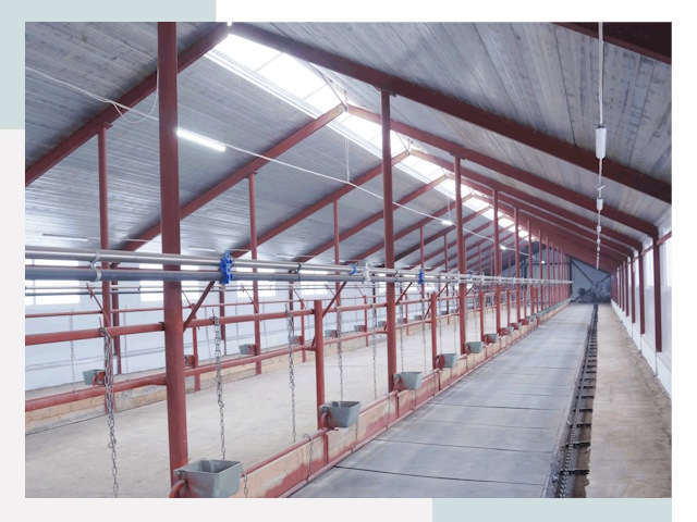 Строительство коровников в Коврове от 614 руб.