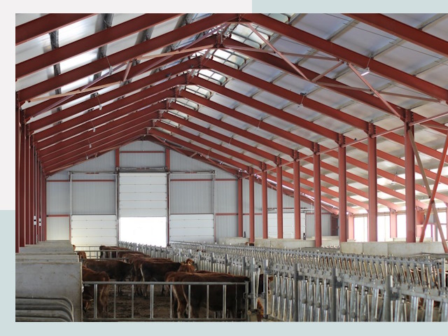 Строительство коровников в Коврове