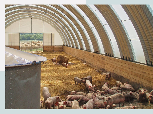 Строительство свинарников в Коврове