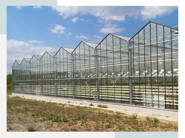 Строительство теплиц в Ковров от 614 руб. за м²