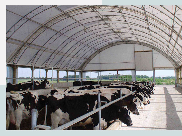 Тентовые коровники в Коврове